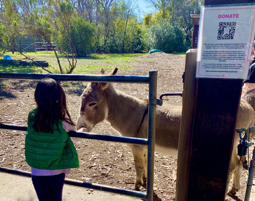 kids love being outdoors in the local park